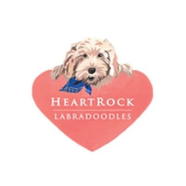 heartrocklabradoodles